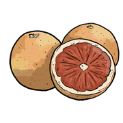 gratefruit
