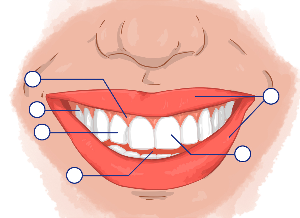 mouth vocabulary