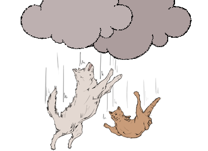 it's raining cats and dogs