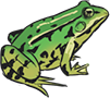 frog