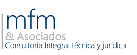 mfm y asociados