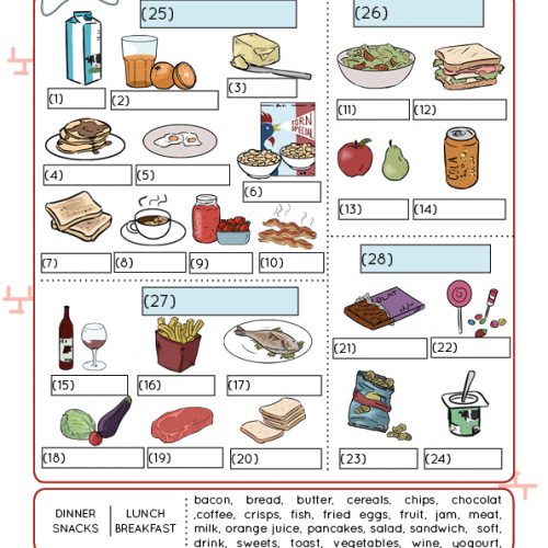 meals vocabulary worksheet