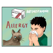 antihistamine antihistamine