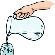 pitcher