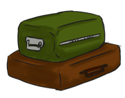 luggage