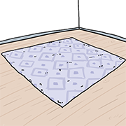 rug