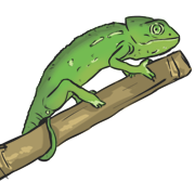 chamaleon