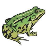 frog