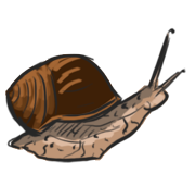 snail
