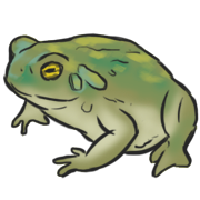 toad