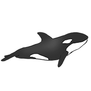 calf
