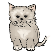 kitten
