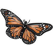 butterfly