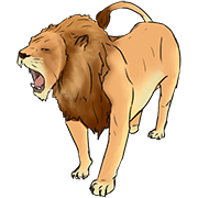 lion