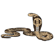 snake