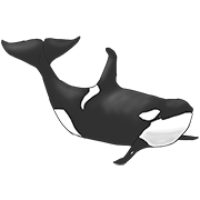 whale