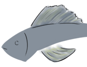 fins