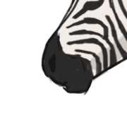 muzzle