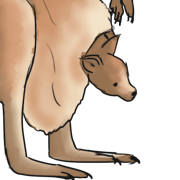 pouch