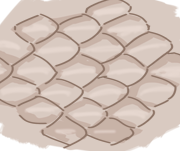 scales