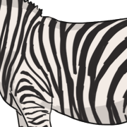 stripes