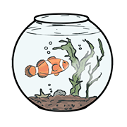 fish bowl