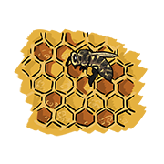 hive