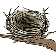 nest