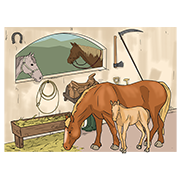 stable