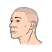 shaved