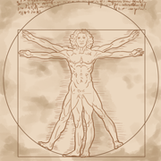 anatomy