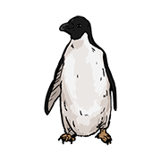 penguin