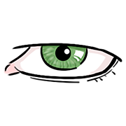 eye