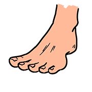foot