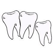teeth
