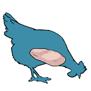 breast