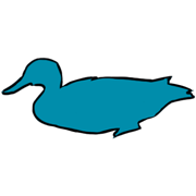 duck