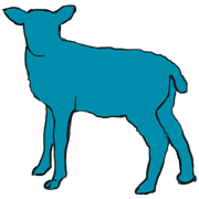lamb
