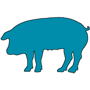 pork