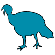 turkey