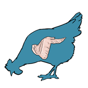 wing