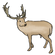 reindeer reindeer