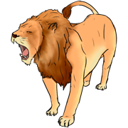 lion
