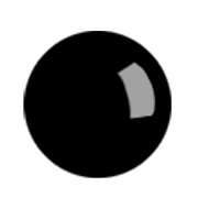 pupil