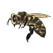 bee