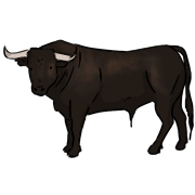 bull