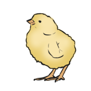 chick