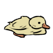 duckling