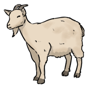 goat
