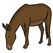 mule